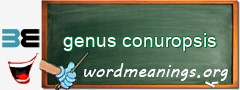 WordMeaning blackboard for genus conuropsis